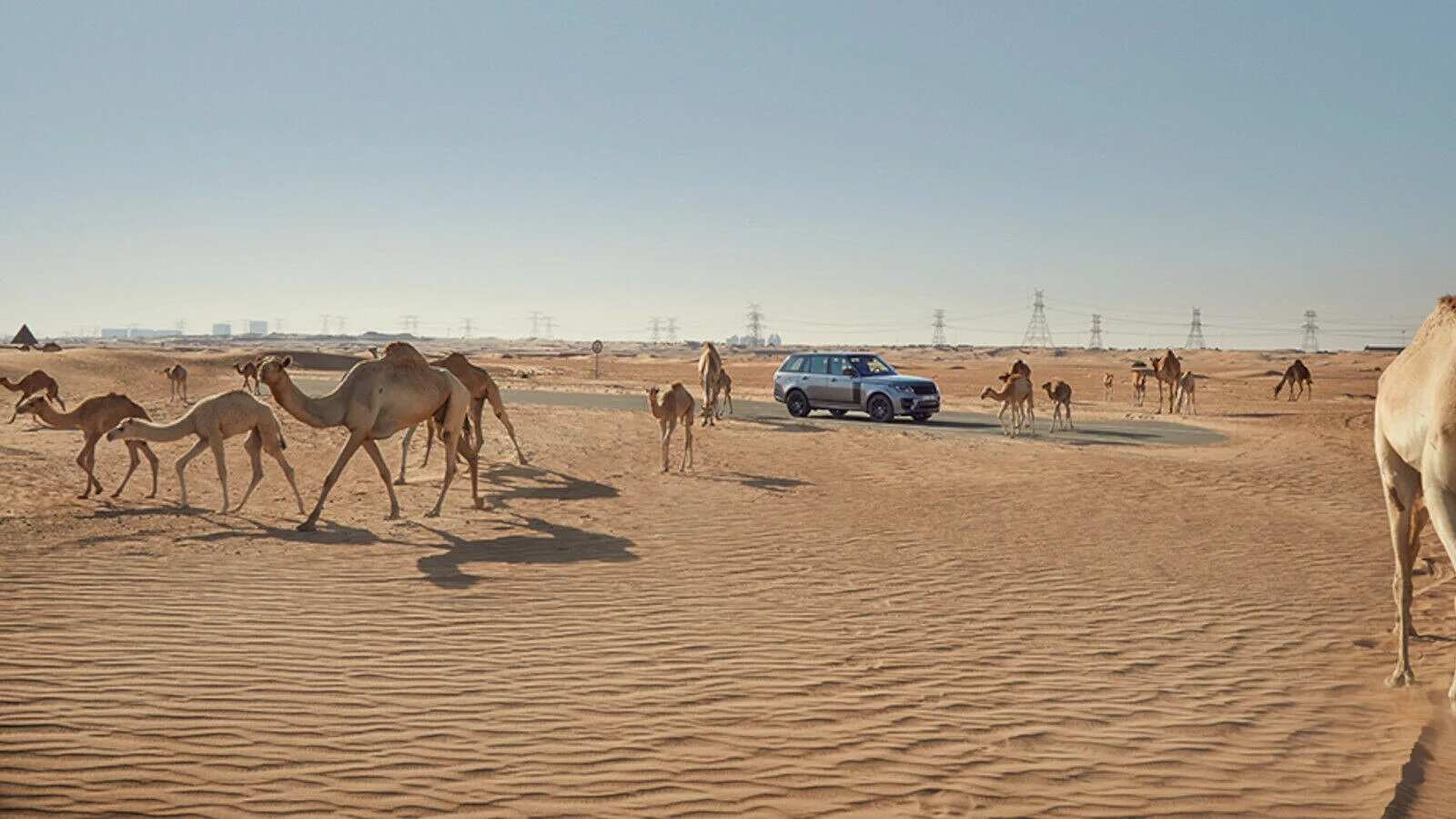 Desert Vision｜Range Rover X 2021 World Expo Host Country: Dubai