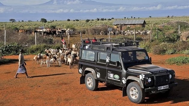 Born Free Foundation