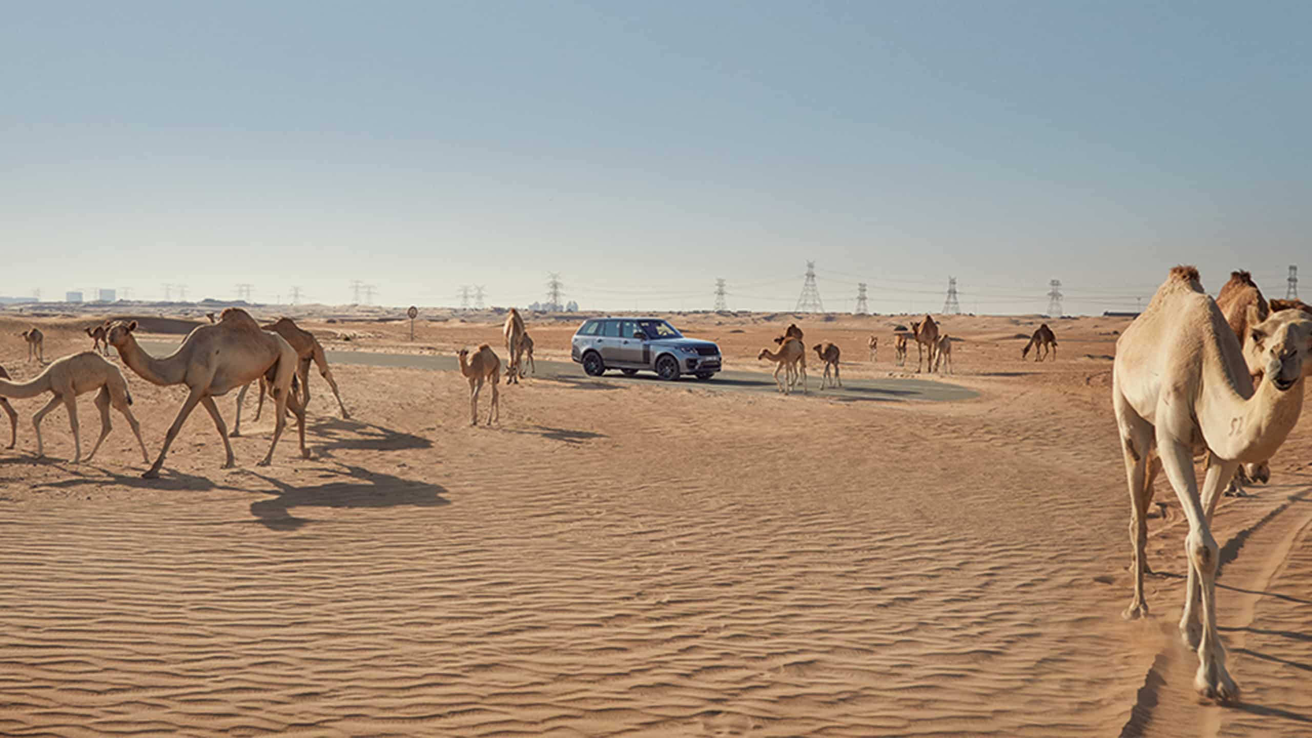 Desert Vision |range Rover X 2021 World Expo Host Country: Dubai